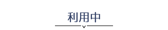 利用中